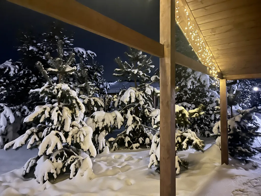 Просторный двухкомнатный коттедж в лесу у пруда