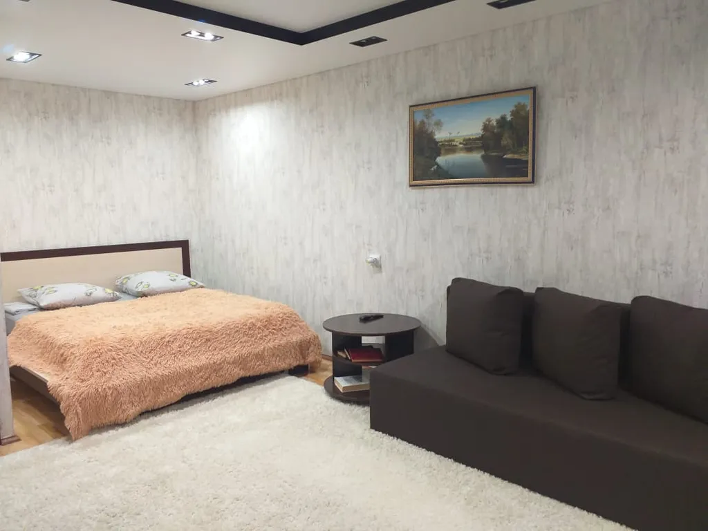 1-комнатная в центре, шикарный вид на город