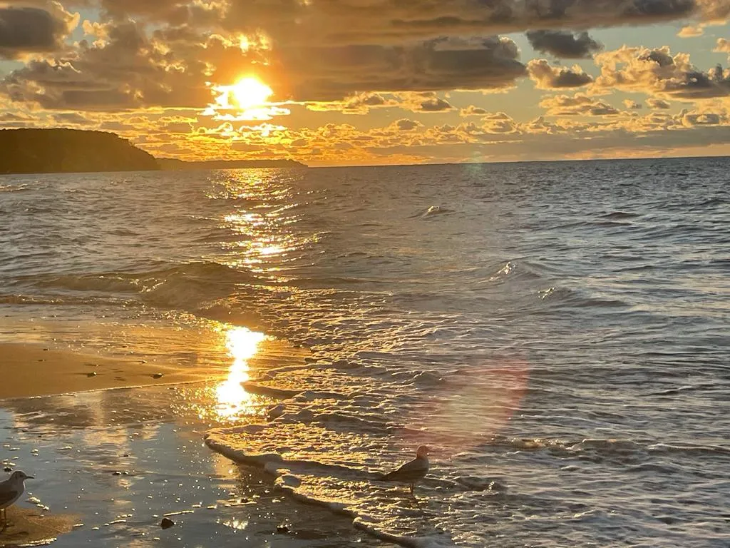 Квартира Квартира Четыре сезона — Светлогорск