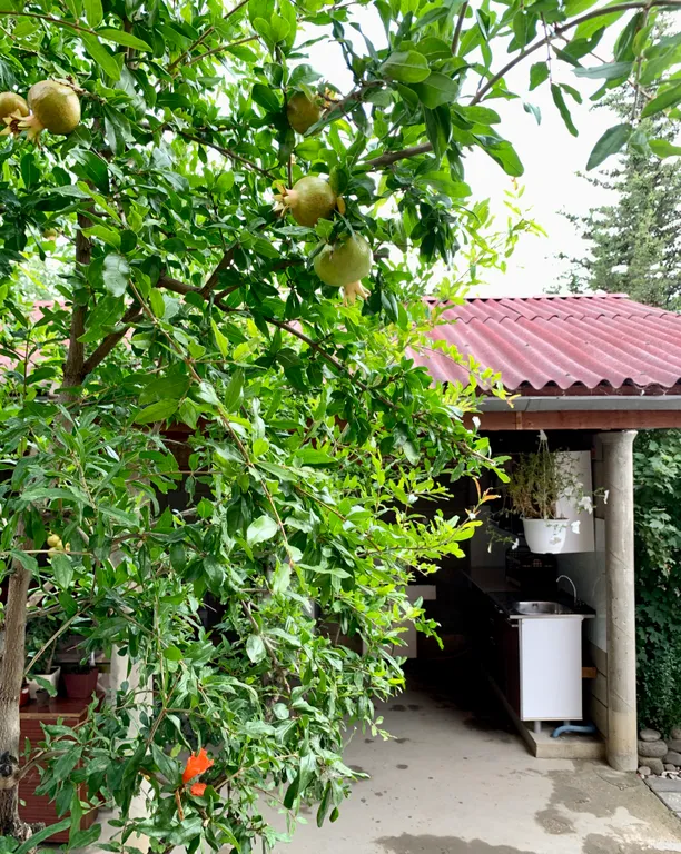 Дом под ключ со своим двором