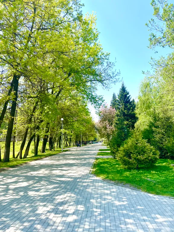 Стильные апартаменты Luxury