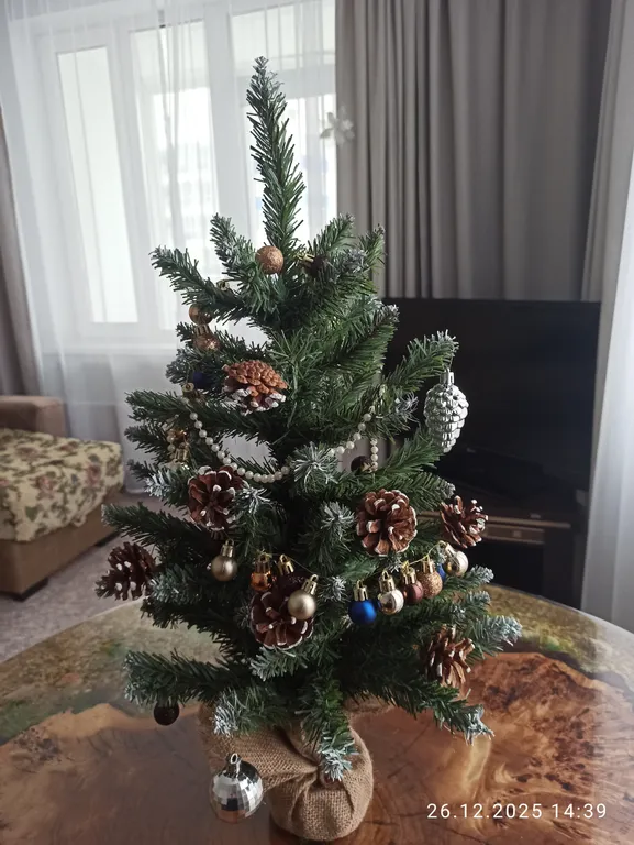 Квартира 2-комнатная видовая квартира — Красноярск