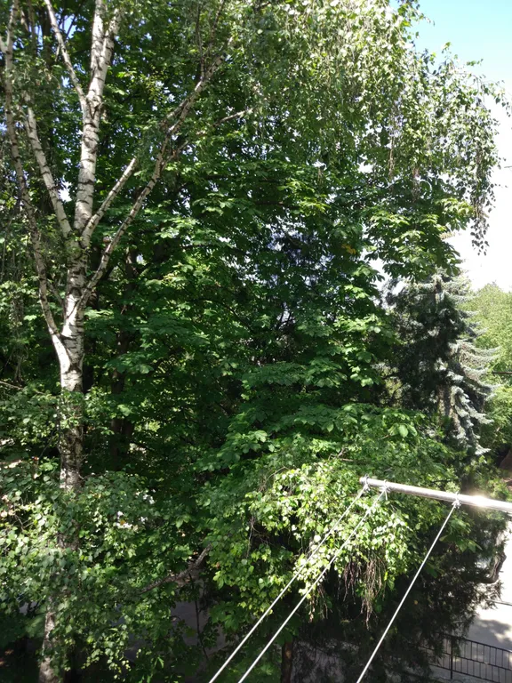 Просторная квартира на Водах