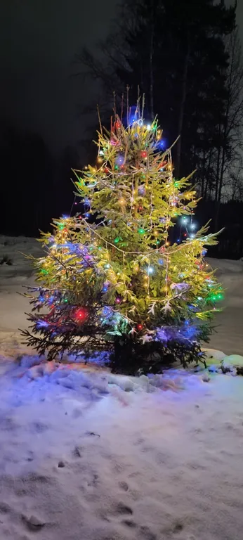 Дом с баней