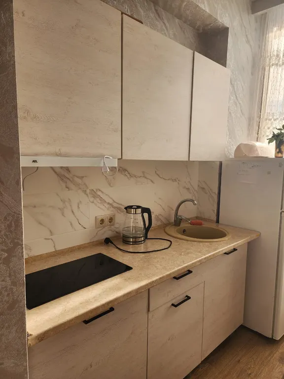 Квартира 1-комнатная Квартира — Сириус