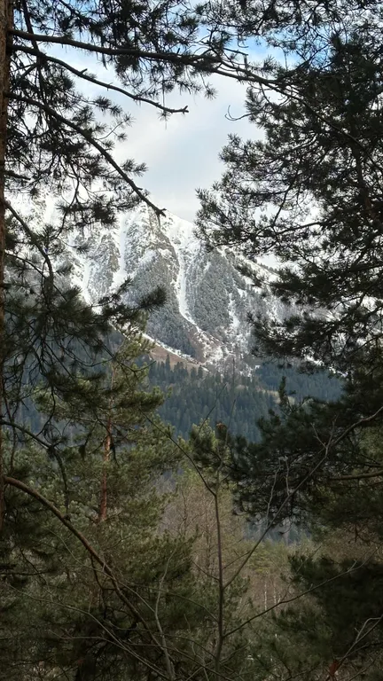 Коттедж Коттедж с видом на горы и лес — Архыз