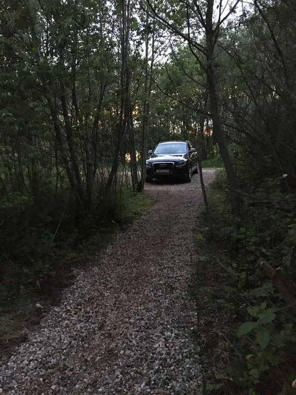 Коттедж Уютный деревянный дом с ландшафтным садом у озера — Шеметово