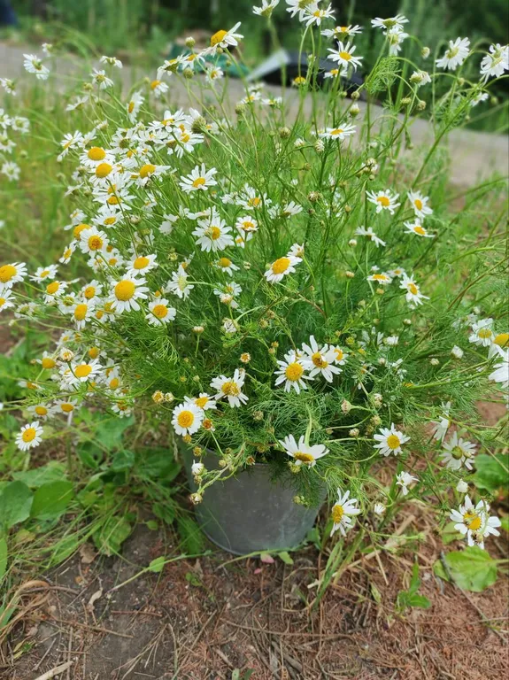 Дом с баней на берегу залива реки Чусовая База Отдыха