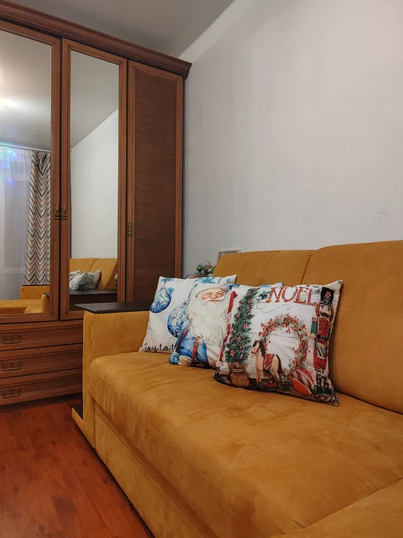 Видовая квартира у Нового рынка