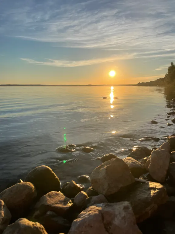 Дом брусника