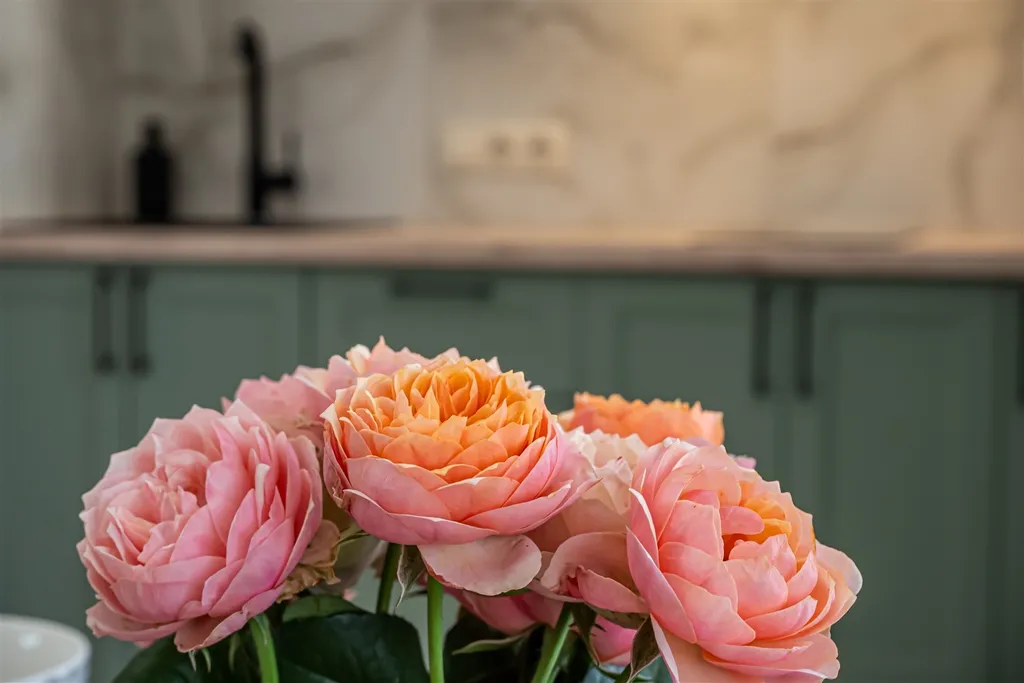 Новая уютная квартира с видом на фонтан