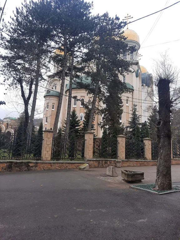 Уютная студия в парке