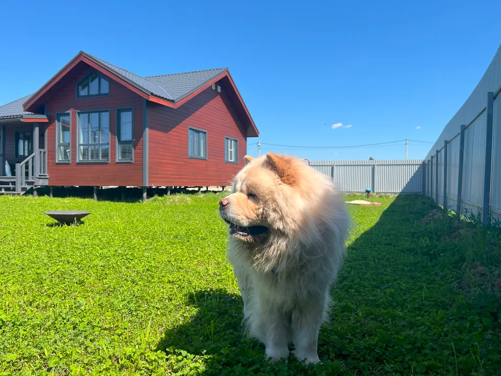 3-комнатный Дом