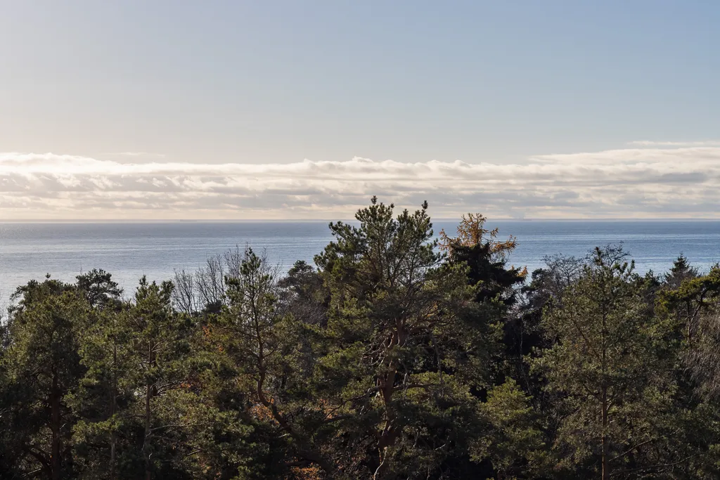 Видовая студия на бассейн и лес 811