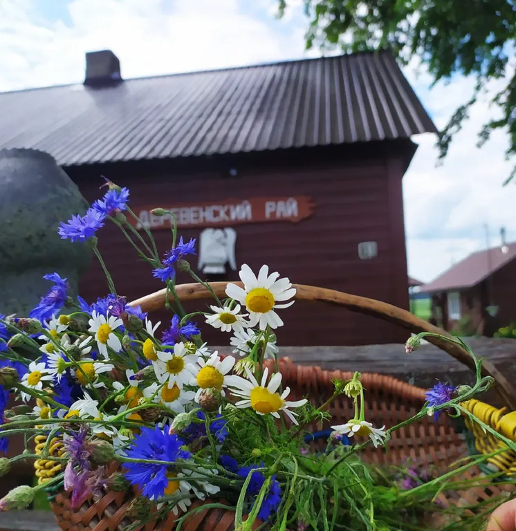 Коттедж Усадьба Деревенский рай в Беловежской пуще — аренда посуточно в Каменюки