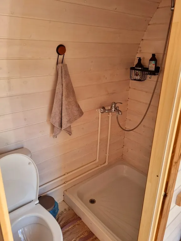 Дома возле Катуни среди гор