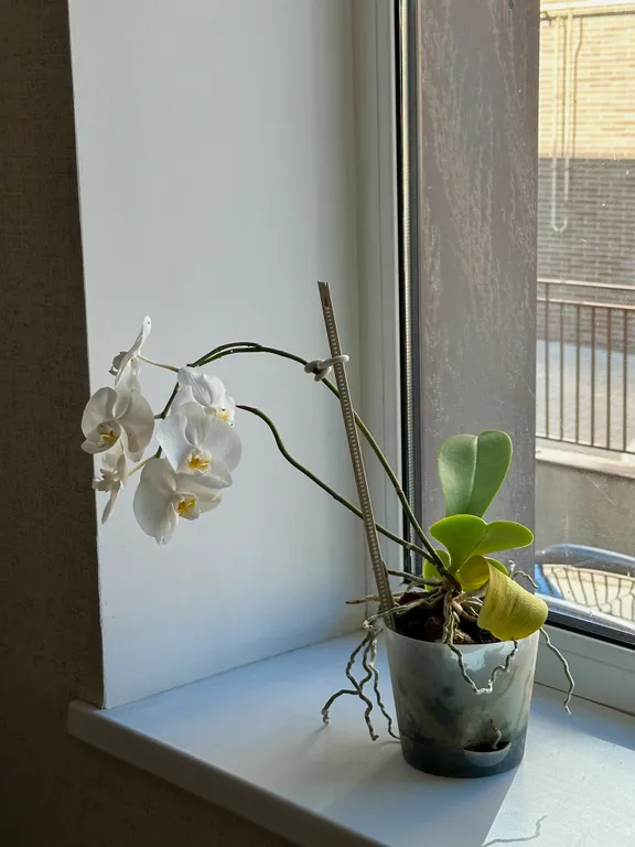 Уютная 1-комнатная квартира в самом центре города