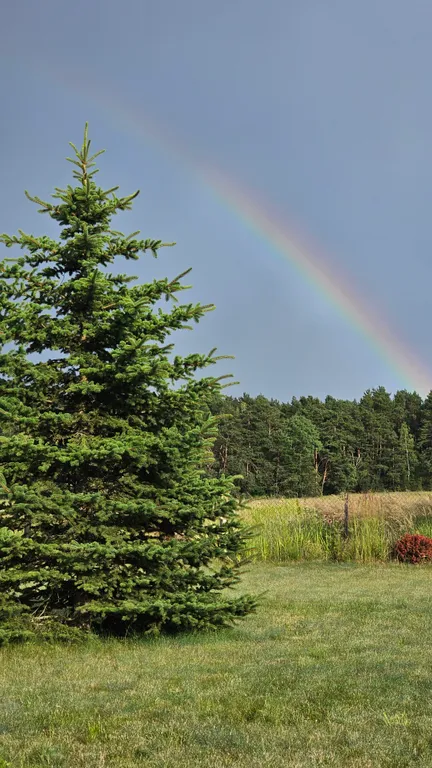 Агроусадьба Лесная Паулинка