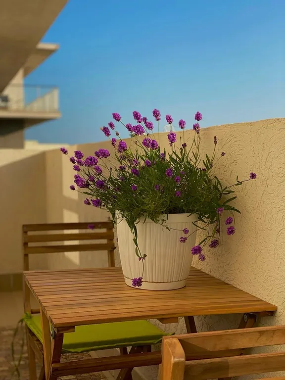 Квартира 2-комнатная квартира с видом на море жк анаполис — Варваровка