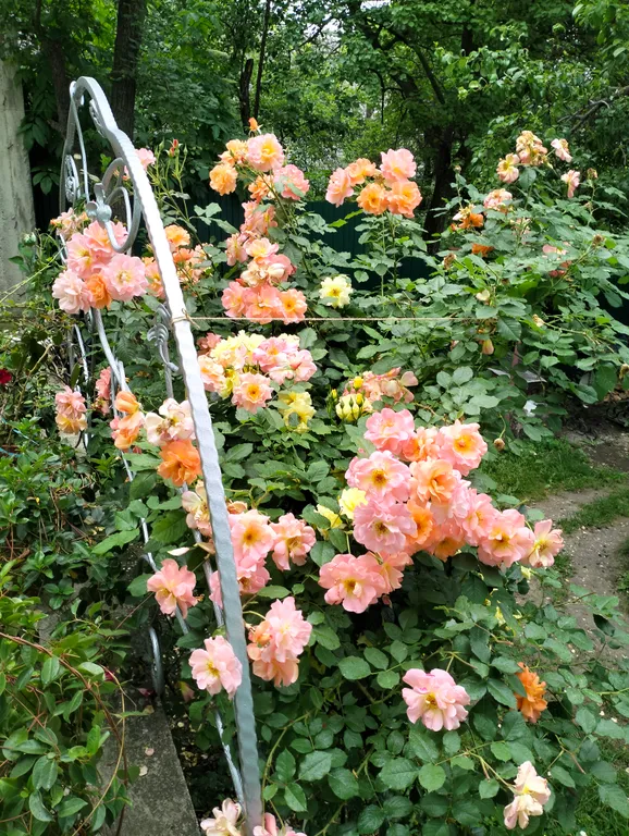 Уютный дом с цветами, видом на горы, мангалом