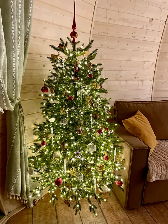 Уникальный купольный дом среди хвойного леса