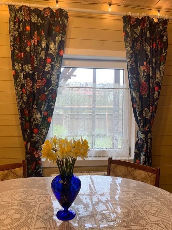 Дом Лебедевых