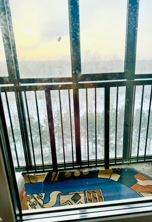 Уютная новая квартира с видом на парк