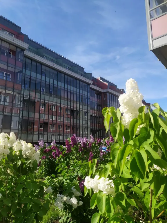 Квартира в самой высокой точке города, у аэропорта, экспофорума, трассы М11