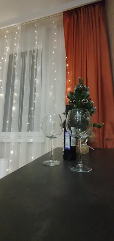 Квартира 1 комнатная квартира с террасой — Светлогорск