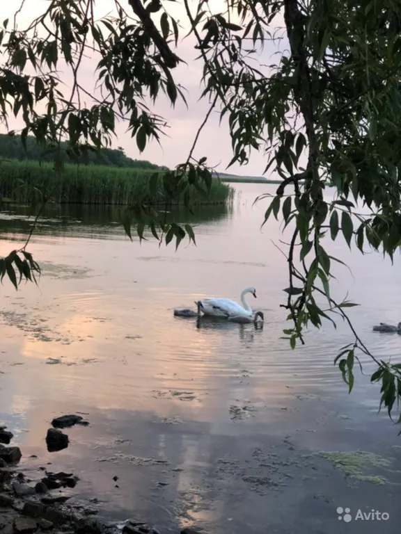 Дом на Куршской косе