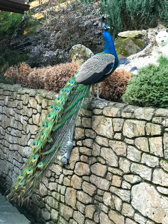 Квартира Делюкс комната с удобствами в лучшем районе Сириуса — Сириус