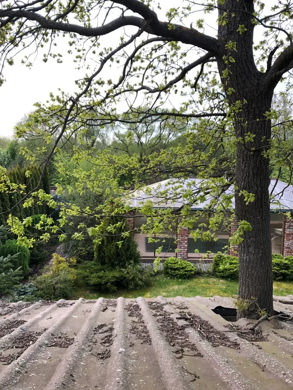 Коттедж Уютный дом у моря — Зеленоградск