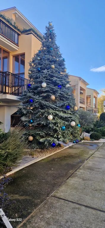 Танхаус в Орхидее парке