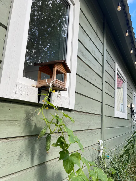 Уютный дом с баней и горячей купелью