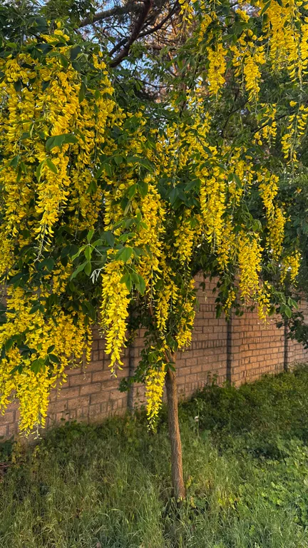 Уютная квартира на побережье Зеленоградска