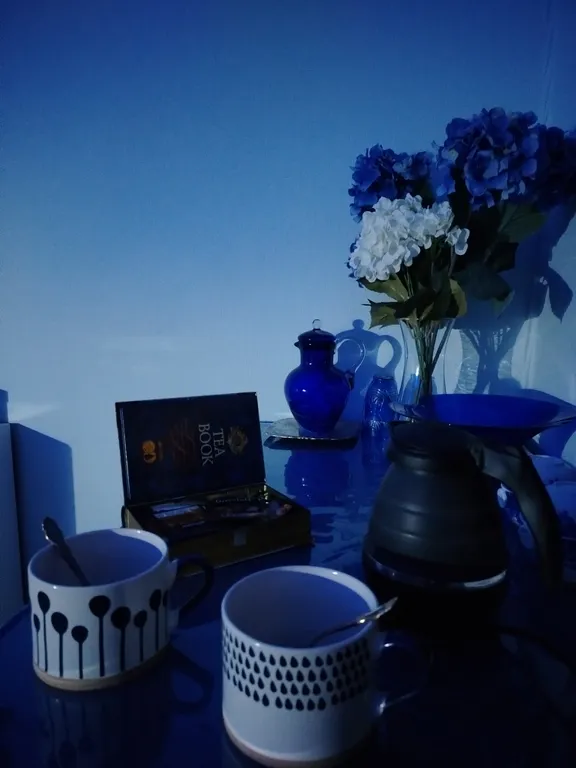 Уединенная часть дома с садом и барбекю