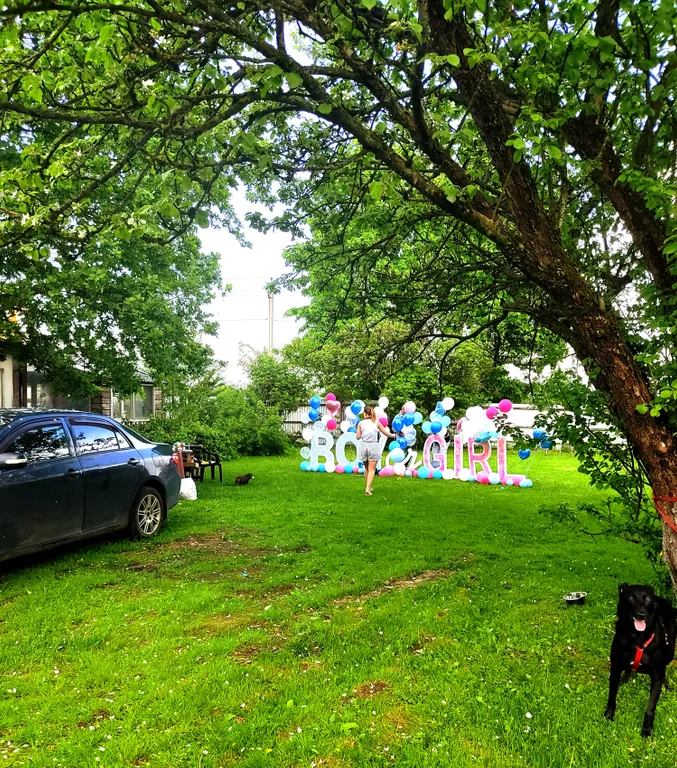 Коттедж Коттедж Северный рай — Кавголово