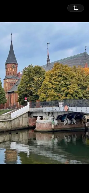 Квартира Уютная квартира у реки Преголя — Калининград