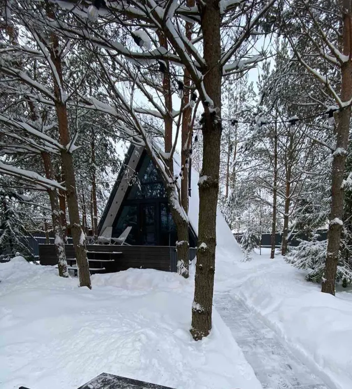 Уютный треугольный дом в 25 км от Минска с горячей купелью в лесу