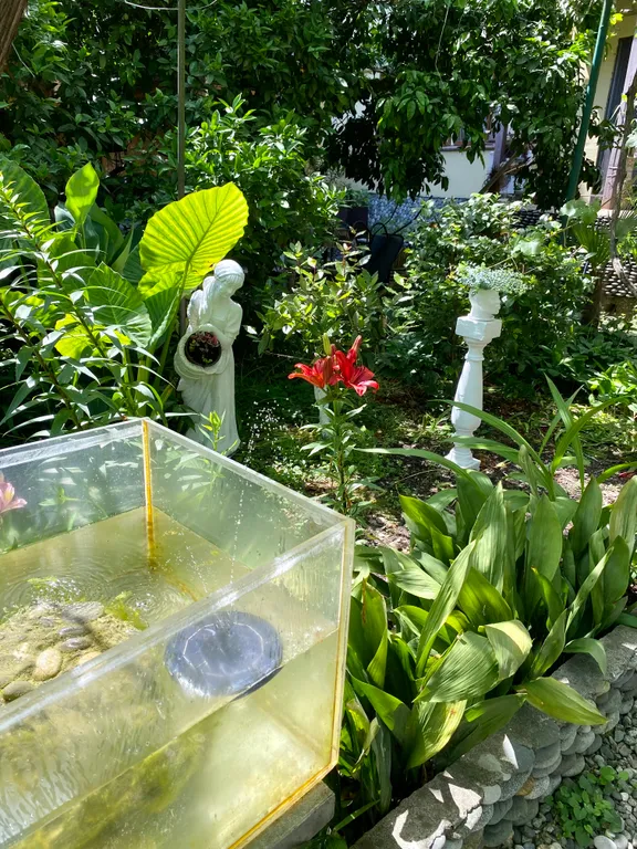 Семейный номер стандарт