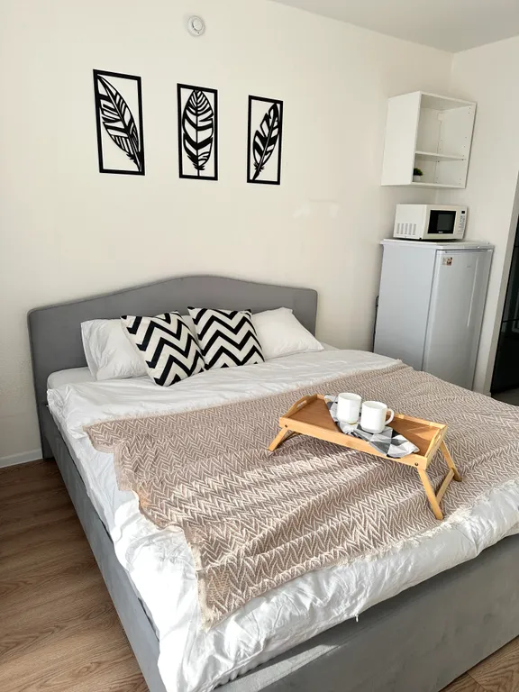 Биг-студия с диванчиком и кроватью Митино