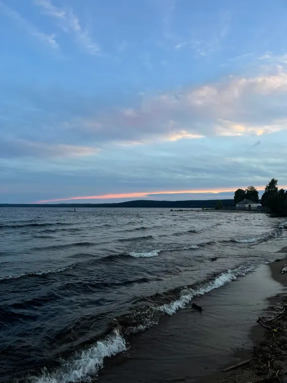 Уютный дом с живописным видом на лес