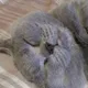 Олег