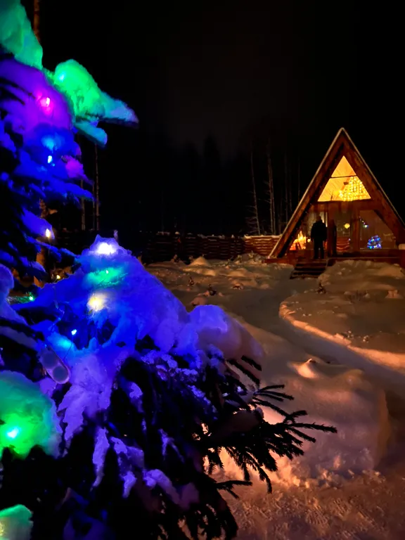 Семейный улей