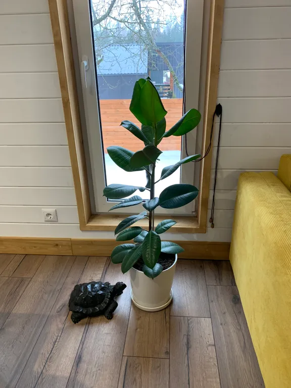 Домик близ Сорочан