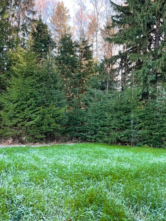 Селах Domingo Dacha