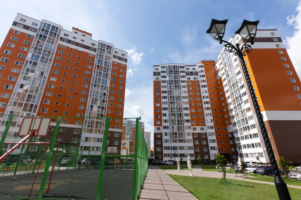 Зеленая студия