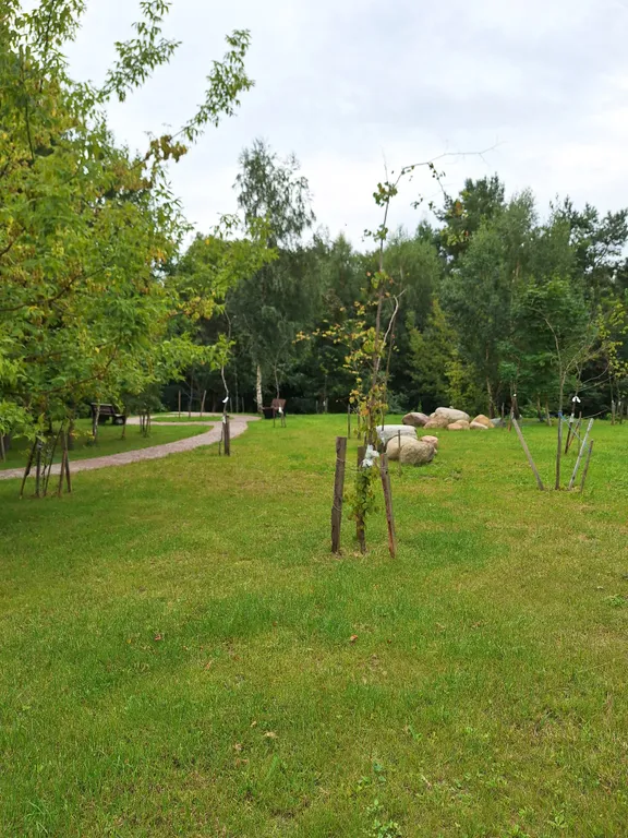 Квартира Квартира Апартамент 45 м2 — Светлогорск