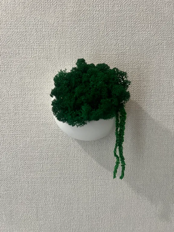 Квартира Квартира в центре Дзержинского района — Ярославль