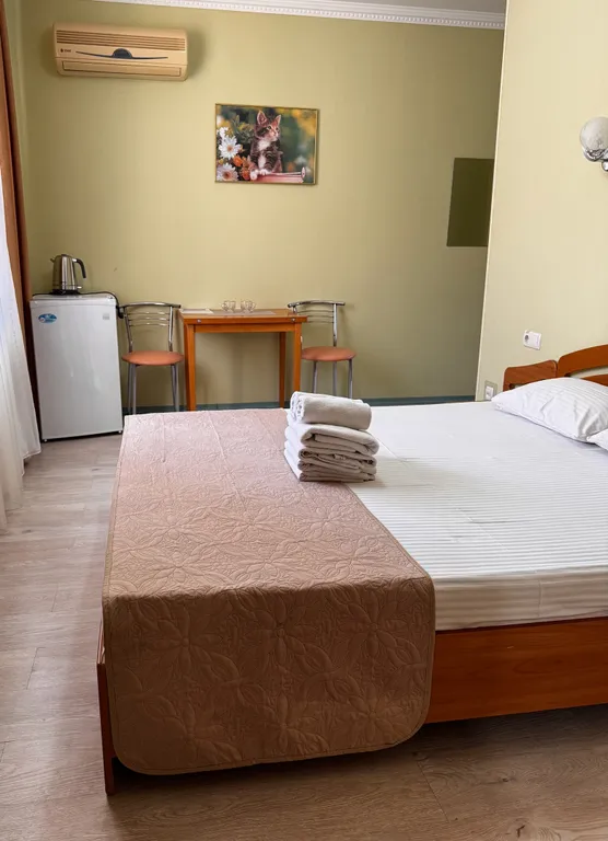 Уютный двухместный номер с большой кроватью